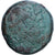 Egipt, Ptolemy III, Tetrobol, 246-221 BC, Alexandria, Brązowy, EF(40-45)