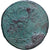 Egipt, Ptolemy III, Tetrobol, 246-221 BC, Alexandria, Brązowy, EF(40-45)