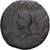 Gaul, Augustus & Agrippa, As, 10 BC-10 AD, Nîmes, Bronze, S