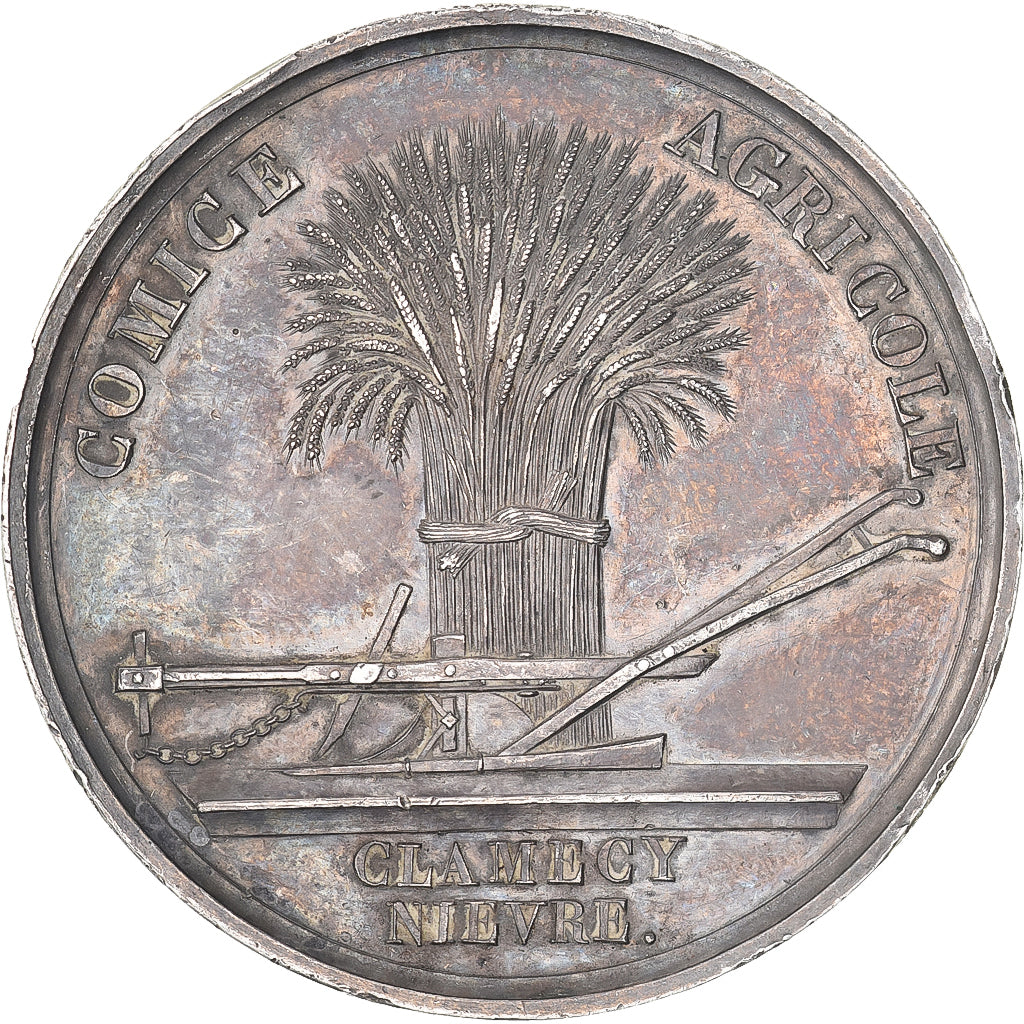 France, Medal, Comice Agricole de Clamecy, Nièvre, n.d., Silver, AU(50-53)