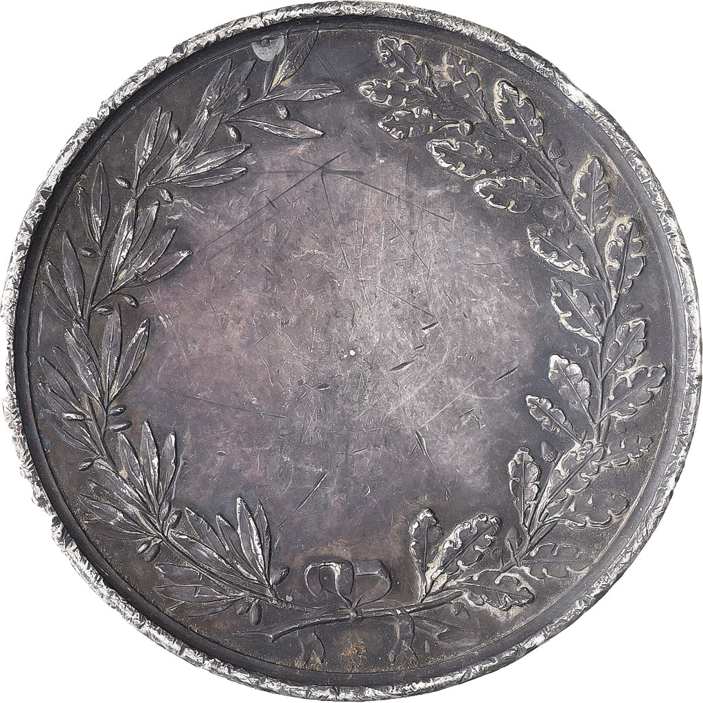 France, Medal, Comice Agricole de Clamecy, Nièvre, n.d., Silver, AU(50-53)