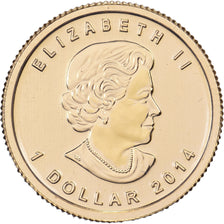 Canada, Elizabeth II, Dollar, 1/20 Oz, Maple Leaf, 2014, Gold, MS(65-70)