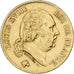 France, 40 Francs, Louis XVIII, 1818, Lille, Gold, EF(40-45), Gadoury:1092