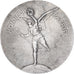 Francia, medalla, Union des Sociétés de Tir de France, XXth Century, Plata