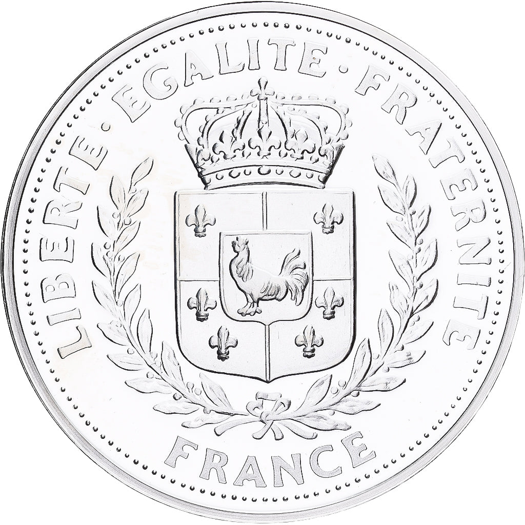 Francja, medal, Déclaration des Droits de l'Homme, Srebro, MS(65-70)