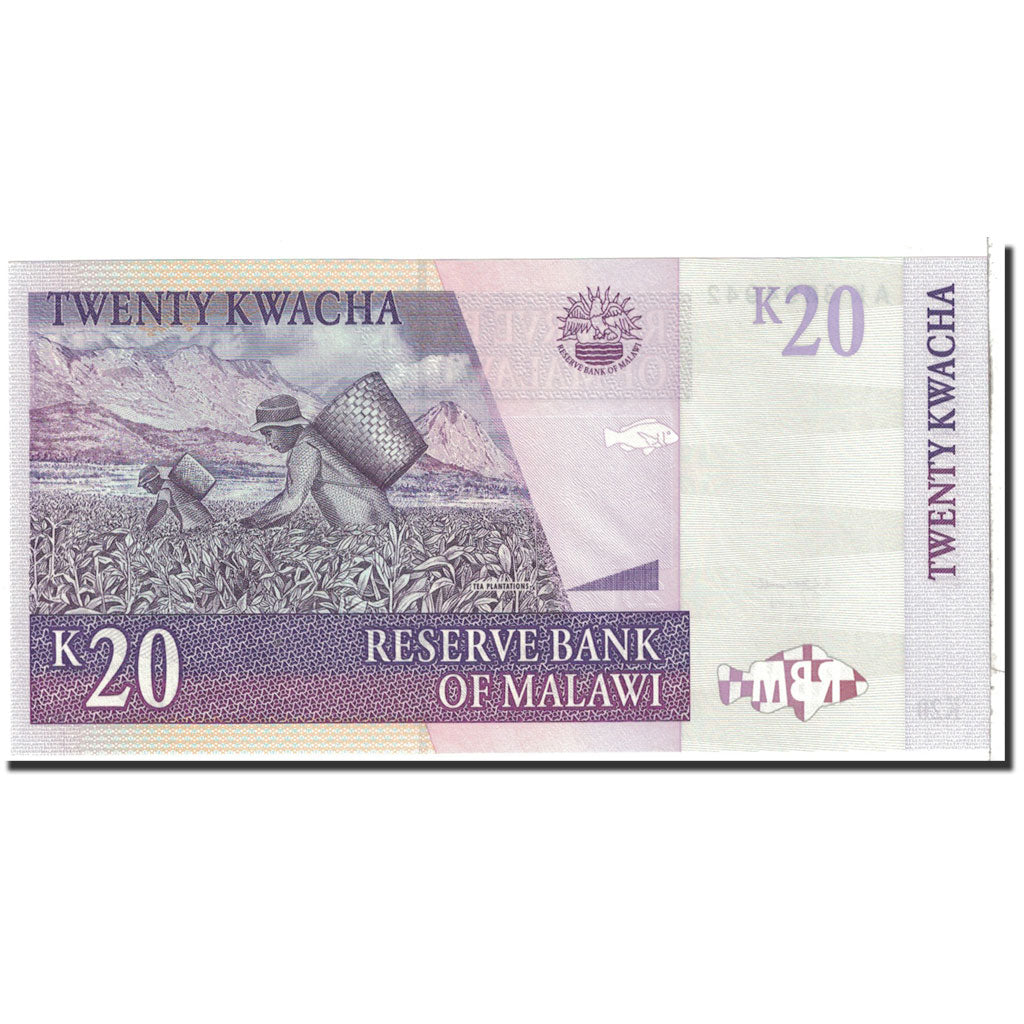 Banknote, Malawi, 20 Kwacha, 2005, 2005-10-31, KM:52b, UNC(65-70)