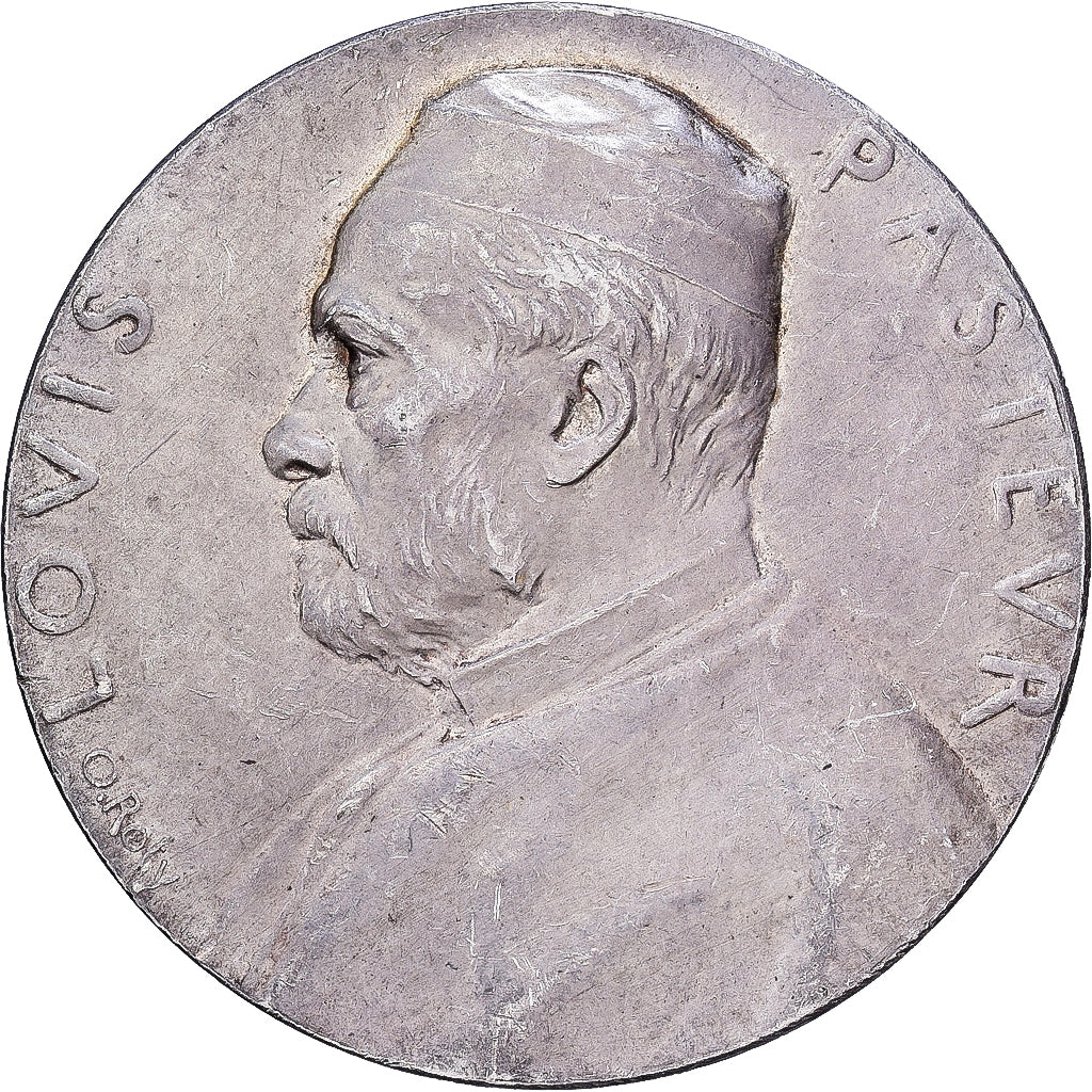 France, Medal, Louis Pasteur, 1888, Silver, Roty, AU(50-53)