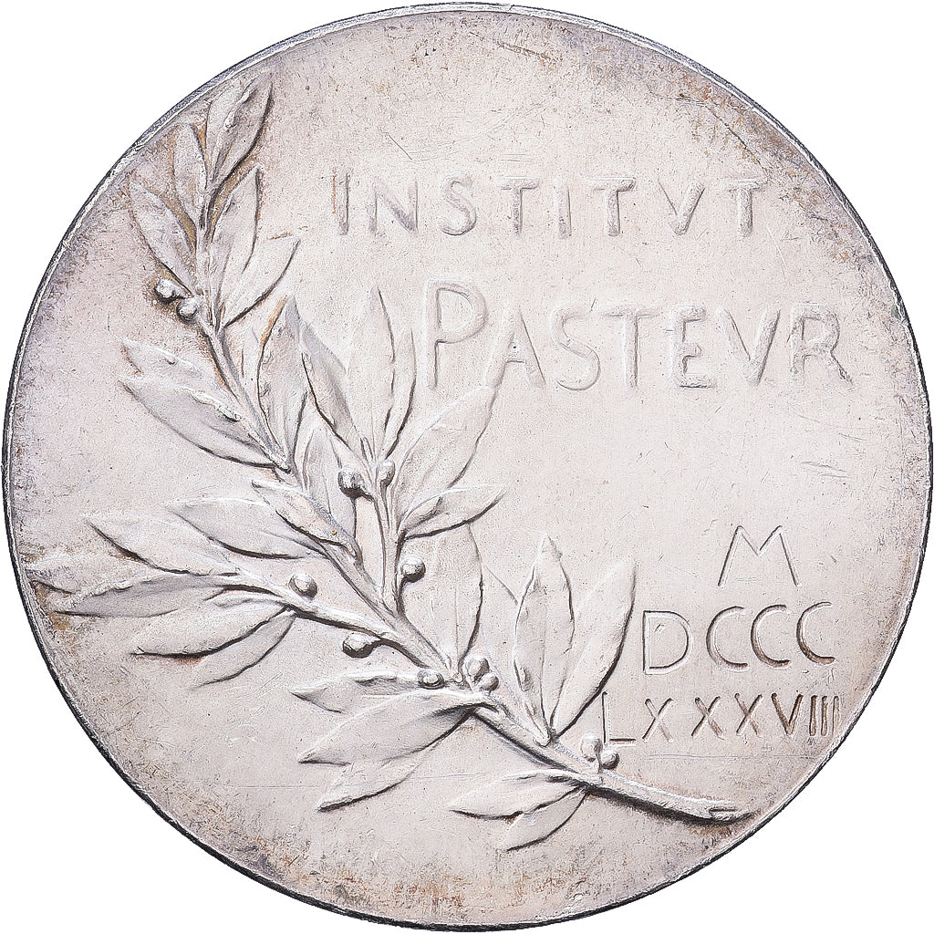 France, Medal, Louis Pasteur, 1888, Silver, Roty, AU(50-53)