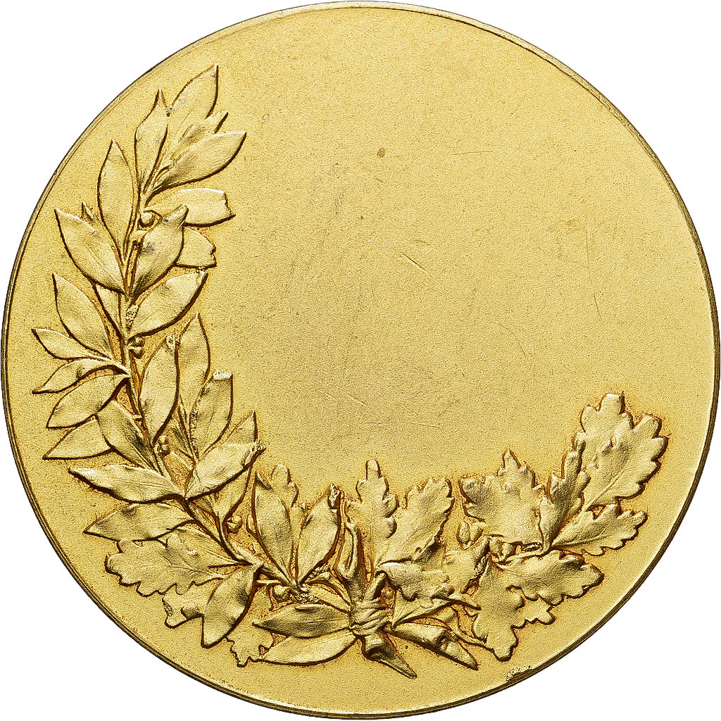 Francia, medalla, Certificat d'Études, Bronce dorado, MBC+