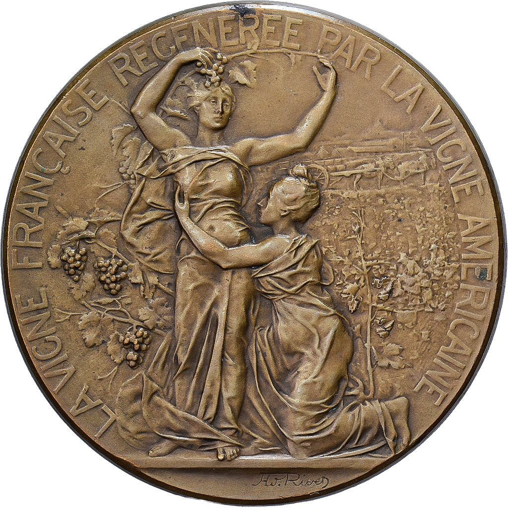 Frankrijk, Medaille, Société d'Agriculture et Viticulture de