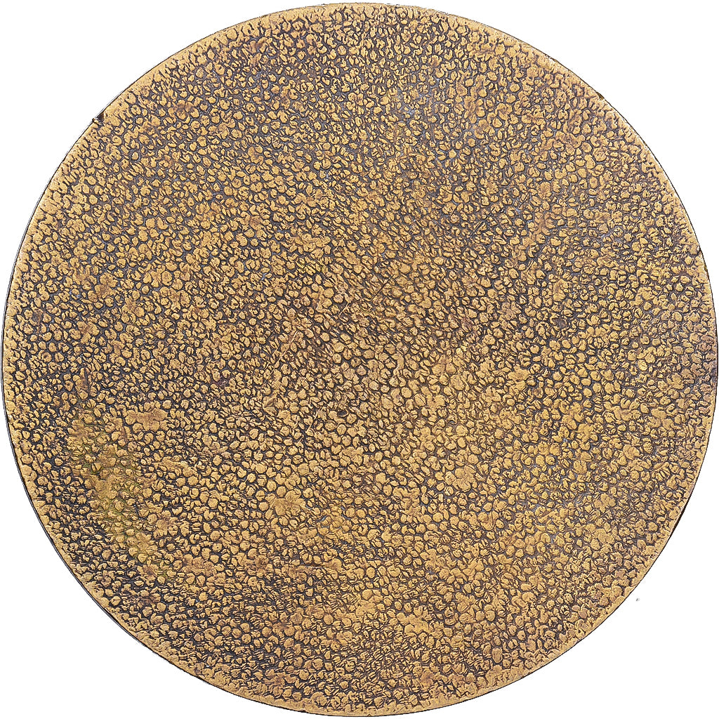 France, Medal, Cercle du Bibliophile., Bronze, EF(40-45)