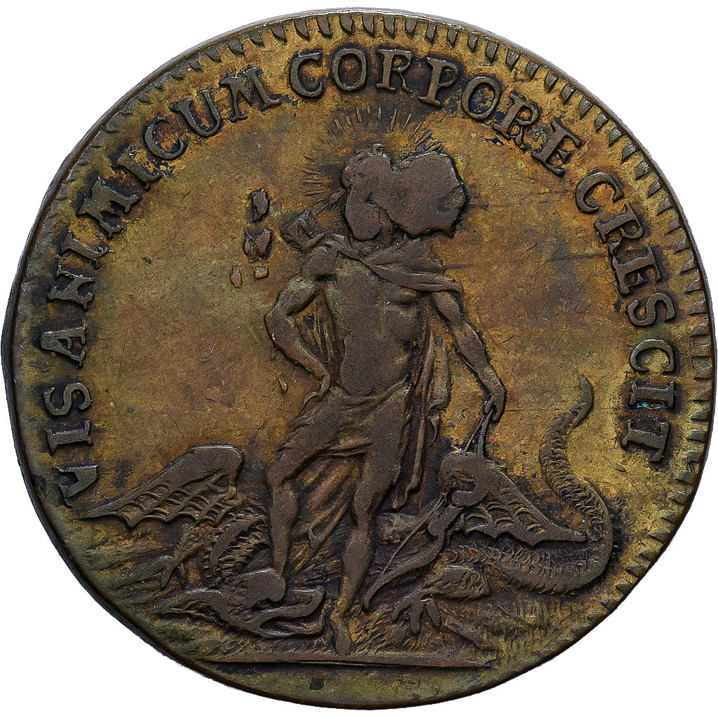 France, Token, Louis XV, Nuremberg, Brass, EF(40-45), Feuardent:13230