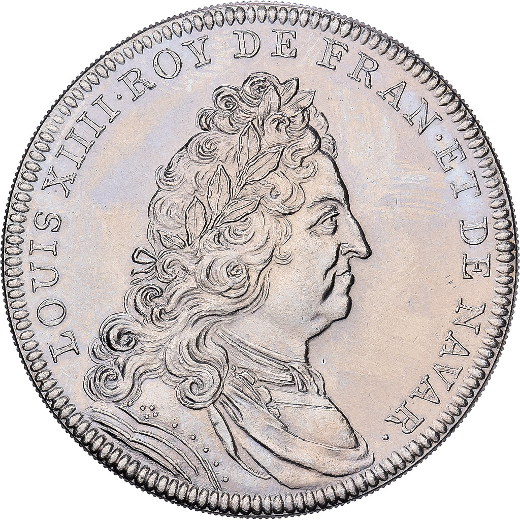 France, Medal, Les rois de France, Louis XIV, Nickel, AU(55-58)