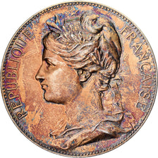Frankrijk, Medaille, Sénat, Fayolle, 1885, Vermeil, Bourgeois, UNC-
