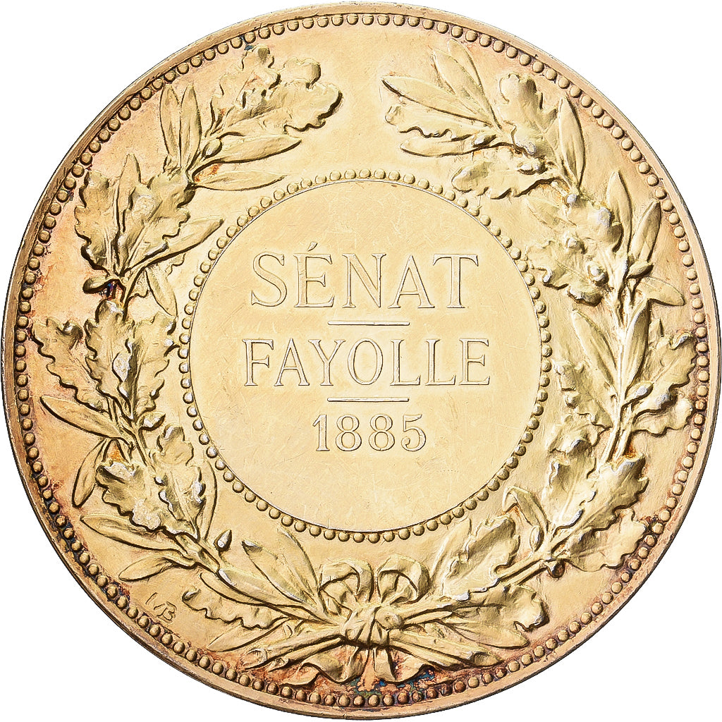 Francia, medaglia, Sénat, Fayolle, 1885, Vermeil, Bourgeois, SPL