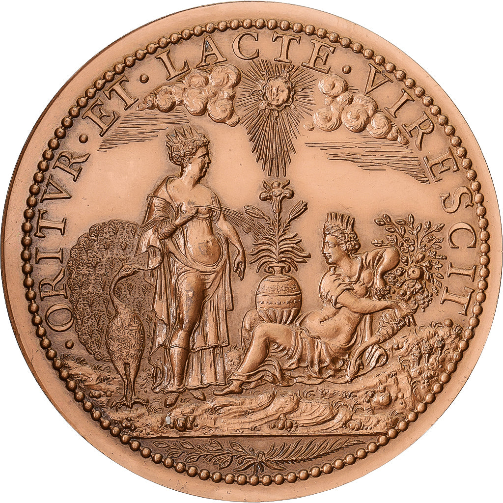 France, Medal, Henri IV, Junon et la Fortune, Bronze, Restrike, MS(63)