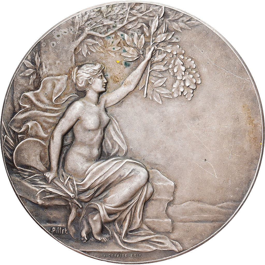 France, Medal, Exposition Internationale de Cherbourg, 1905, Silvered bronze