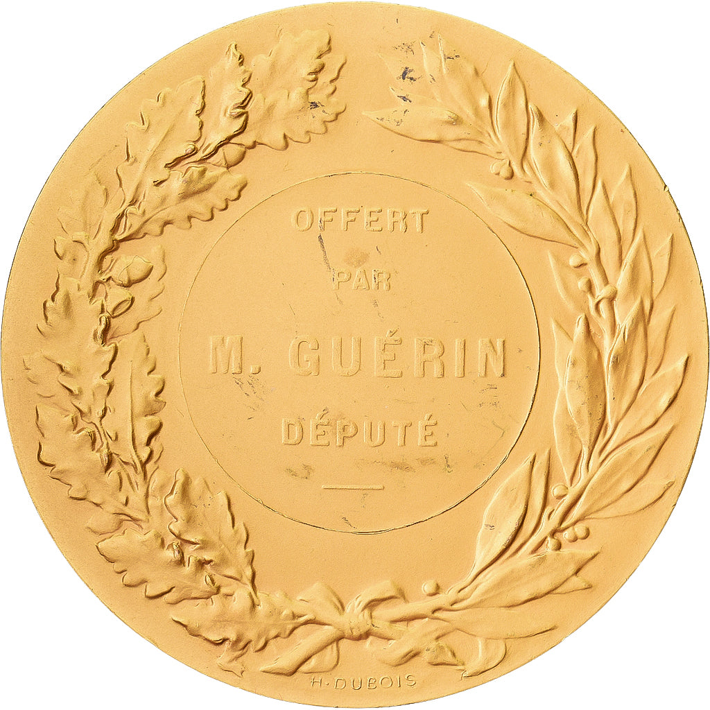 France, Medal, Offert par M. Guérin, Député, Gilt Bronze, Lagrange, MS(63)