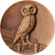 France, Médaille, Monnaie de Paris, 1977, Bronze, SUP, Leognany, Chouette