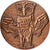 Frankreich, Medaille, Institut National de Recherche et de Documentation