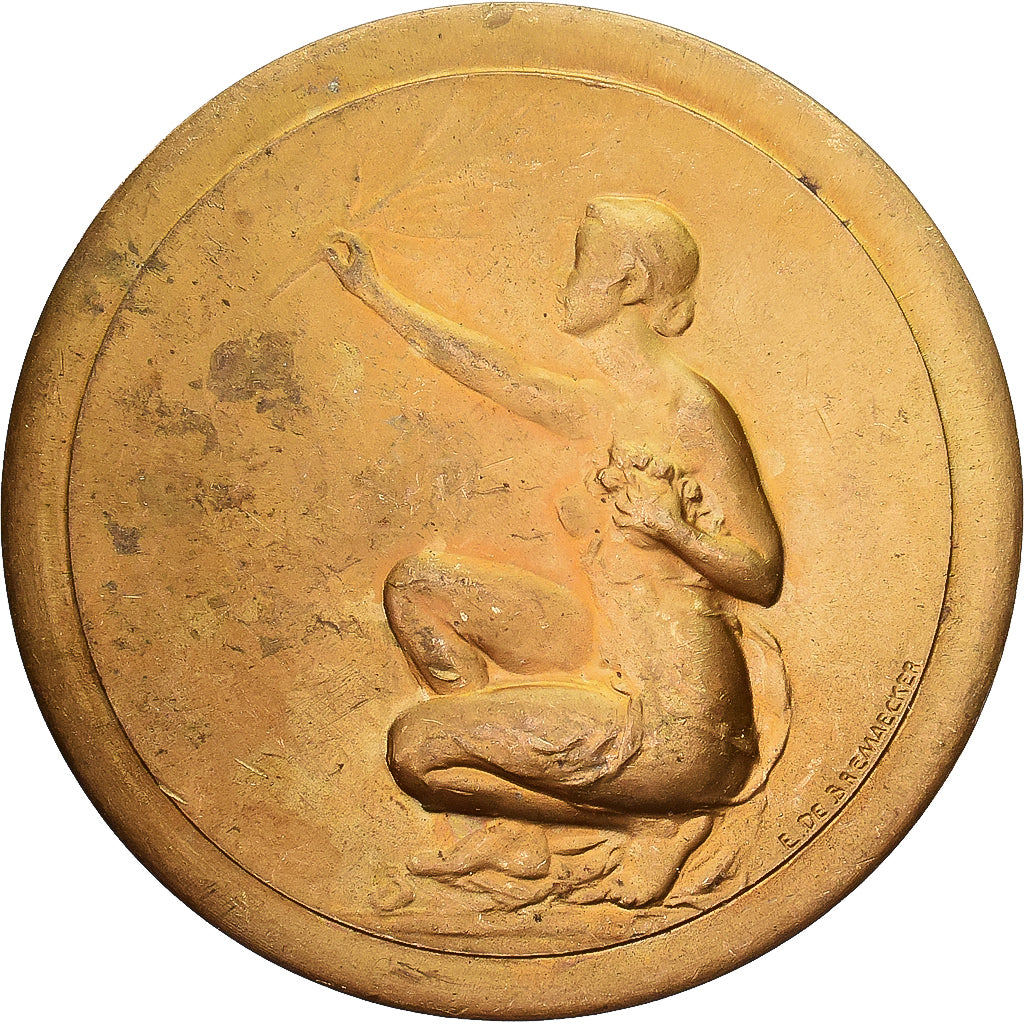 Belgique, Médaille, S.A.B.A.M, Société Belge des Auteurs, Gilt Bronze, TTB
