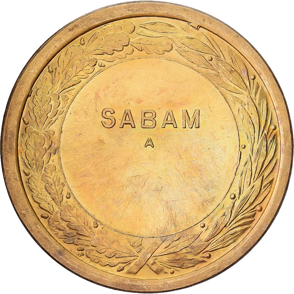 Belgique, Médaille, S.A.B.A.M, Société Belge des Auteurs, Gilt Bronze, TTB