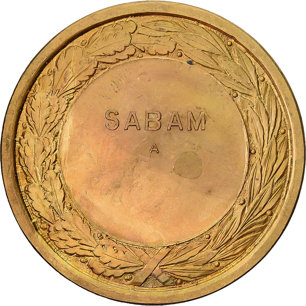 Belgique, Médaille, S.A.B.A.M, Société Belge des Auteurs, Gilt Bronze, TTB+
