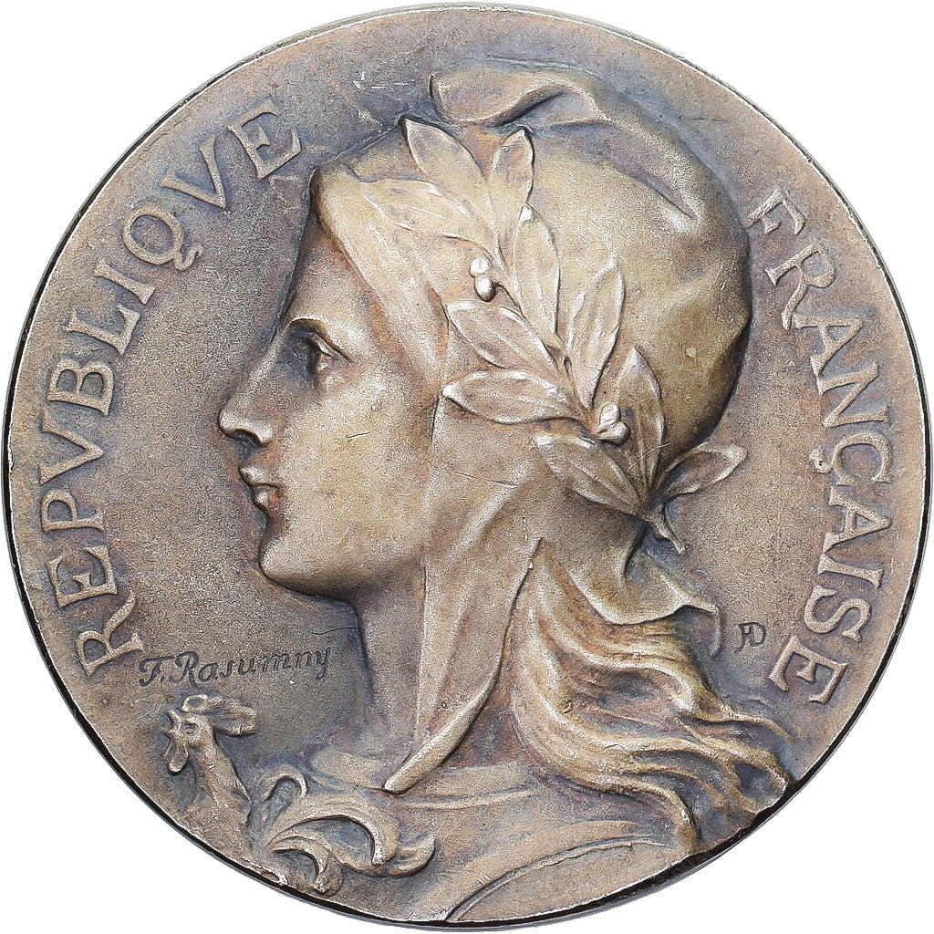 France, Medal, Comice Agricole de Chinon, Indre-et-Loire, 1909, Silvered bronze