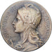 France, Medal, Comice Agricole de Chinon, Indre-et-Loire, 1909, Silvered bronze