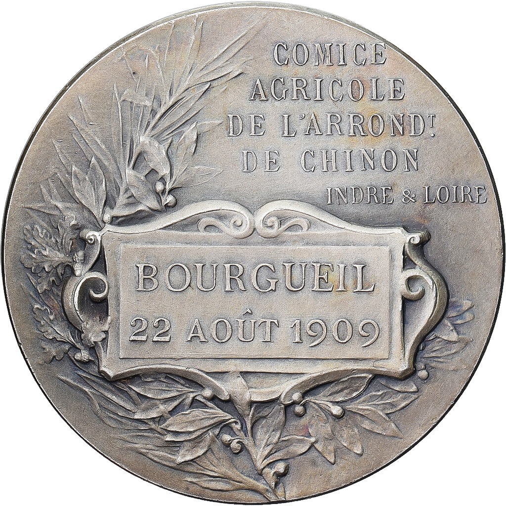 France, Medal, Comice Agricole de Chinon, Indre-et-Loire, 1909, Silvered bronze