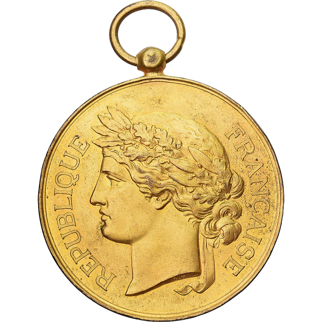 France, Medal, Société Nationale du Tir des Communes de France, Gilt Bronze