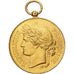 France, Medal, Société Nationale du Tir des Communes de France, Gilt Bronze