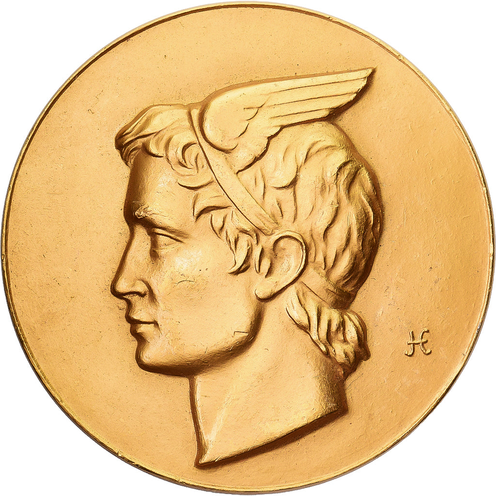 Frankrijk, Medaille, Photo-Video, Robert Phox, Béthune, Gilt Bronze, PR