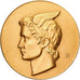 Frankrijk, Medaille, Photo-Video, Robert Phox, Béthune, Gilt Bronze, PR