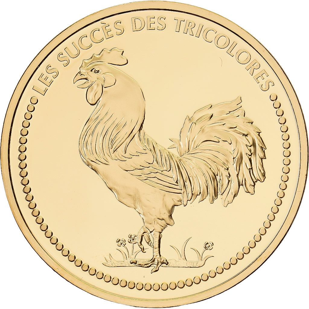 France, Medal, Finale de la Coupe du Monde à Berlin, 2006, Copper Gilt, Proof