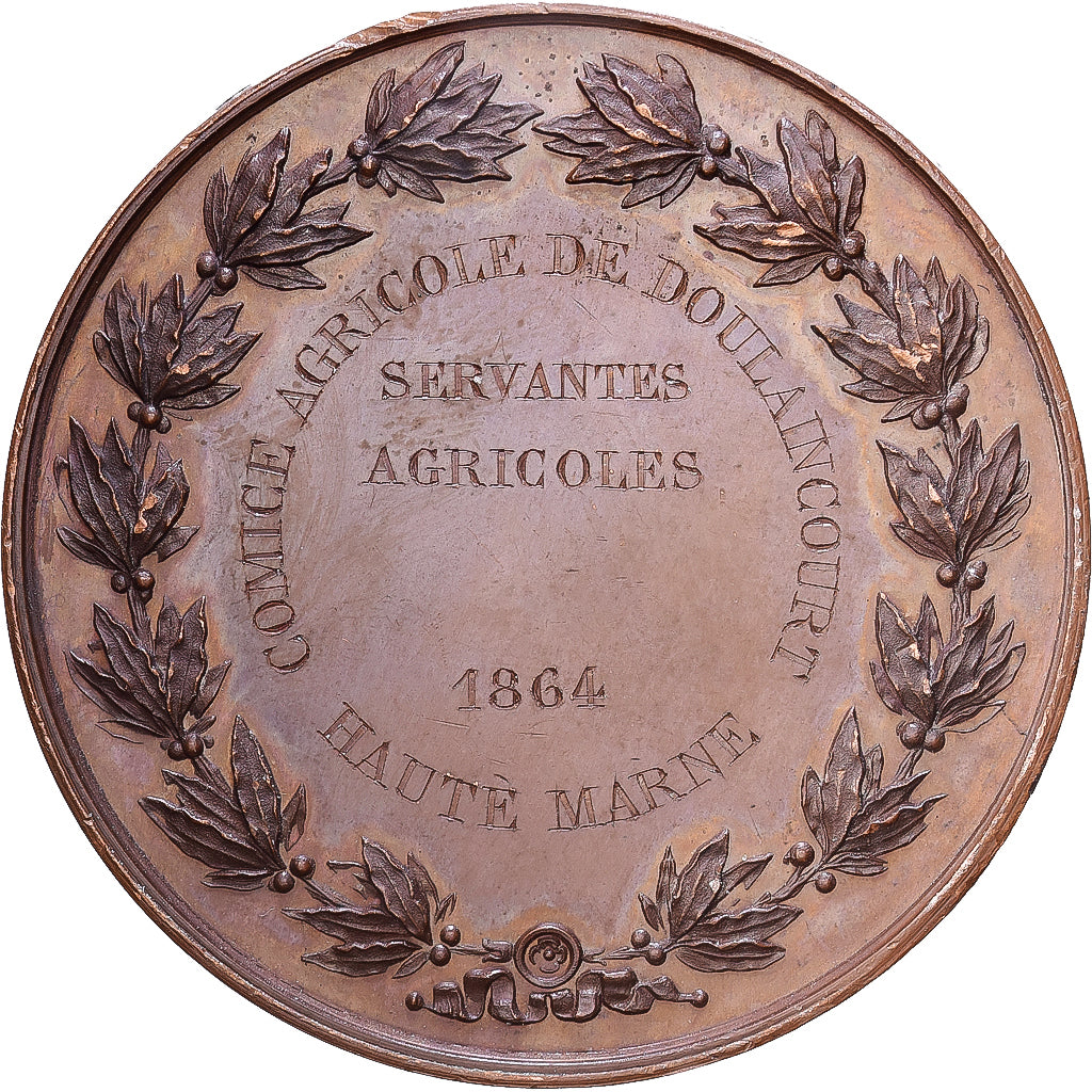Frankreich, Medaille, Napoléon III, Comice Agricole de Doulaincourt