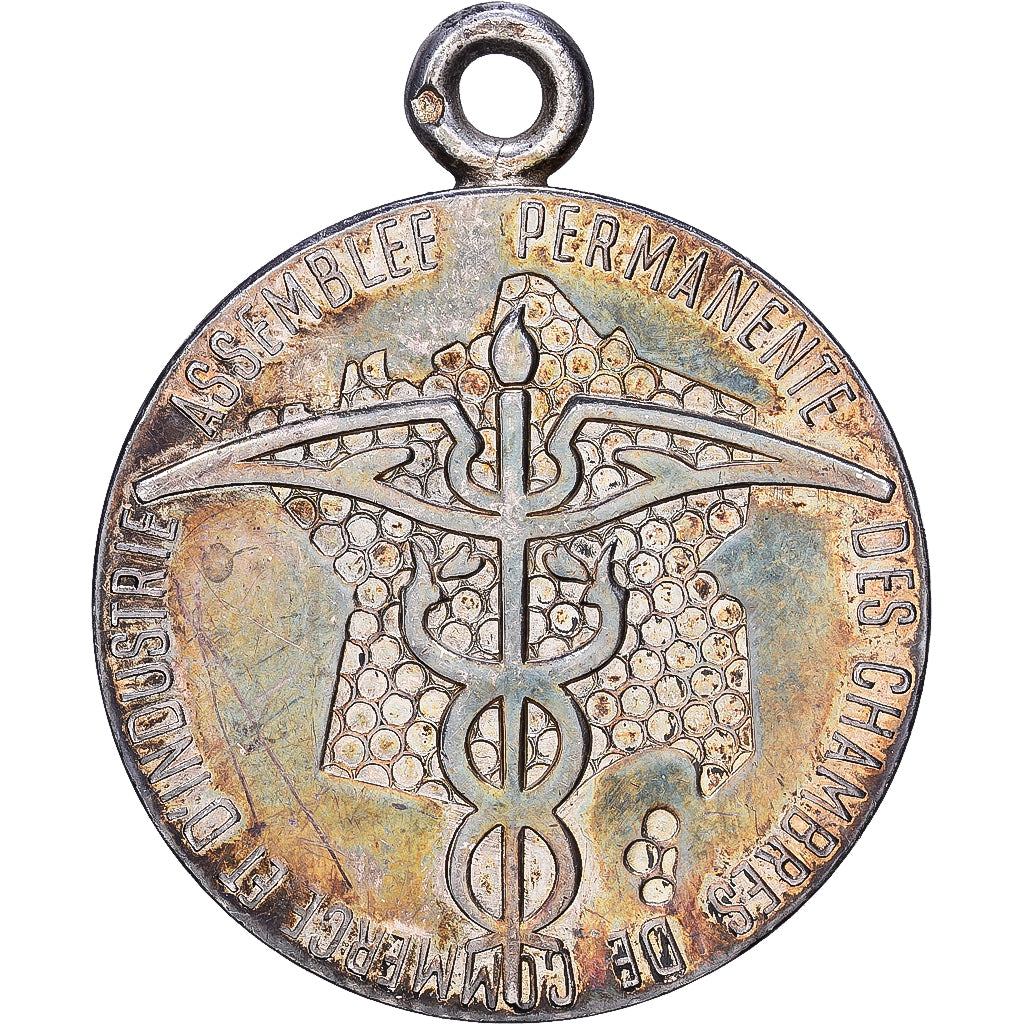 França, medalha, Chambre de Commerce Nice et Alpes Maritimes, 1972, Prata