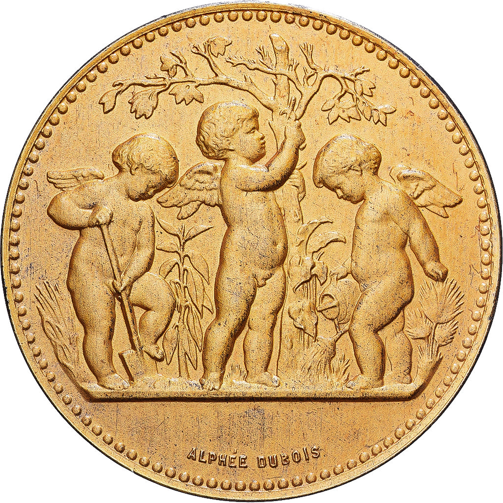 France, Médaille, Société Tourangelle d'Horticulture, Vermeil, SUP, Alphée