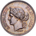 Francia, medalla, Association Générale contre l'Incendie, 1877, Plata, Barre