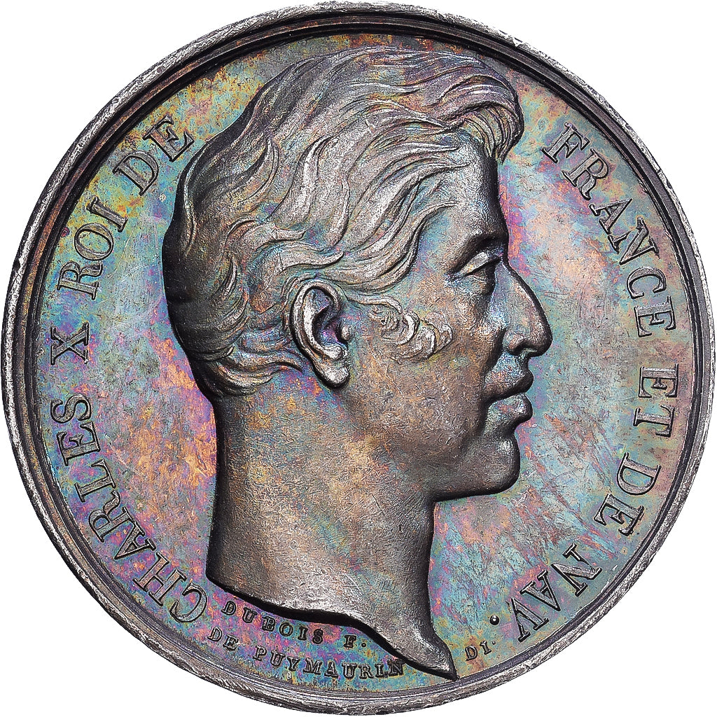 Francia, medaglia, La Ville de Lille à Charles X, 1827, Argento