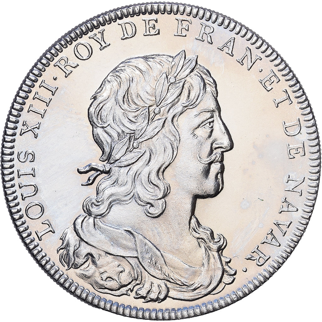 Francia, medaglia, Les rois de France, Louis XIII, Nichel, SPL