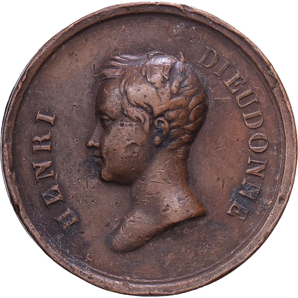 France, Medal, Henri Dieudonné V d'Artois, Propagande Royaliste, Copper
