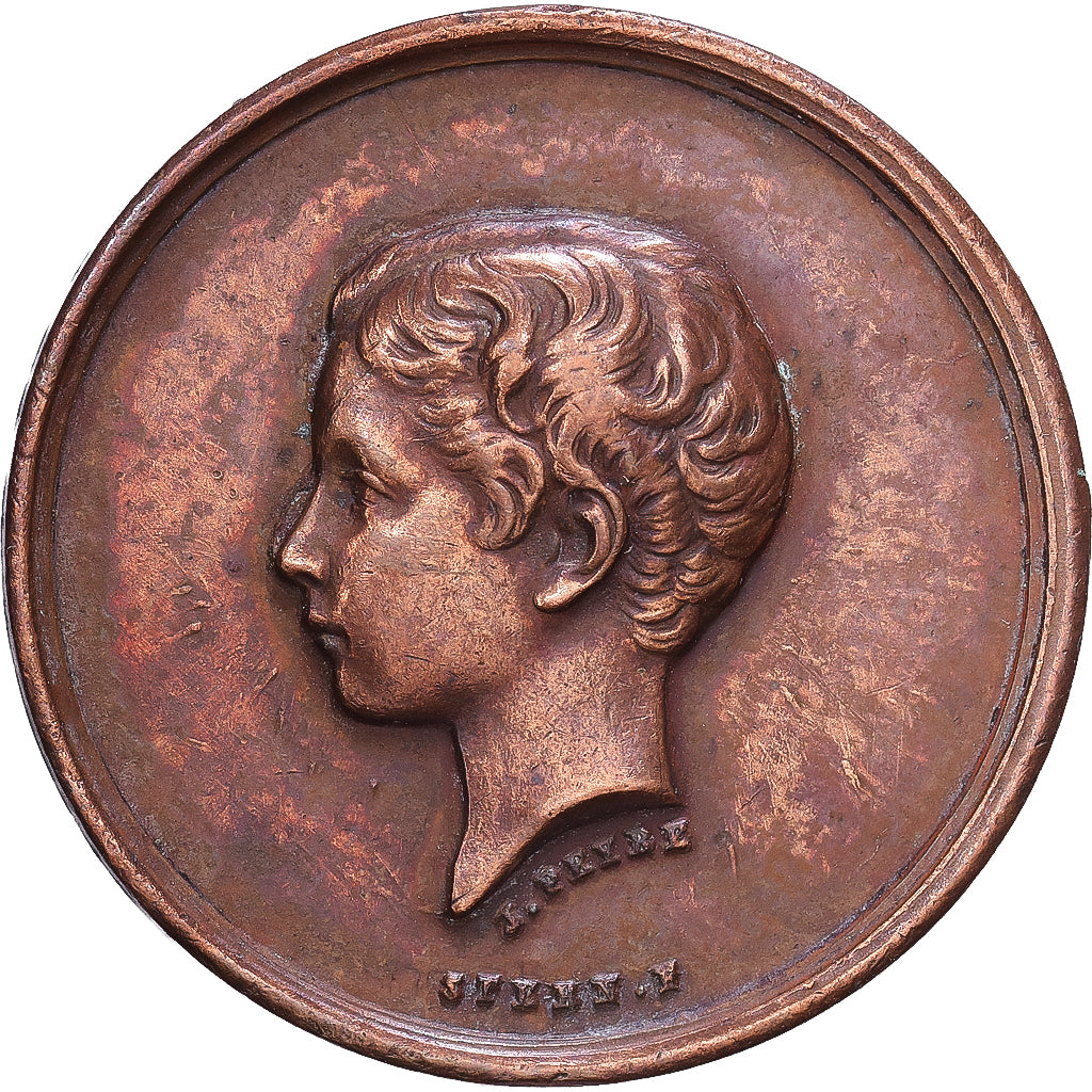 Francia, medalla, Napoléon IV, Société du Prince Impérial, Enfance au