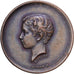 France, Medal, Napoléon IV, Société du Prince Impérial, Enfance au Travail