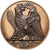 Francia, medaglia, Napoléon Ier, Bataille de Wagram (1809), Bronzo, Denon, SPL