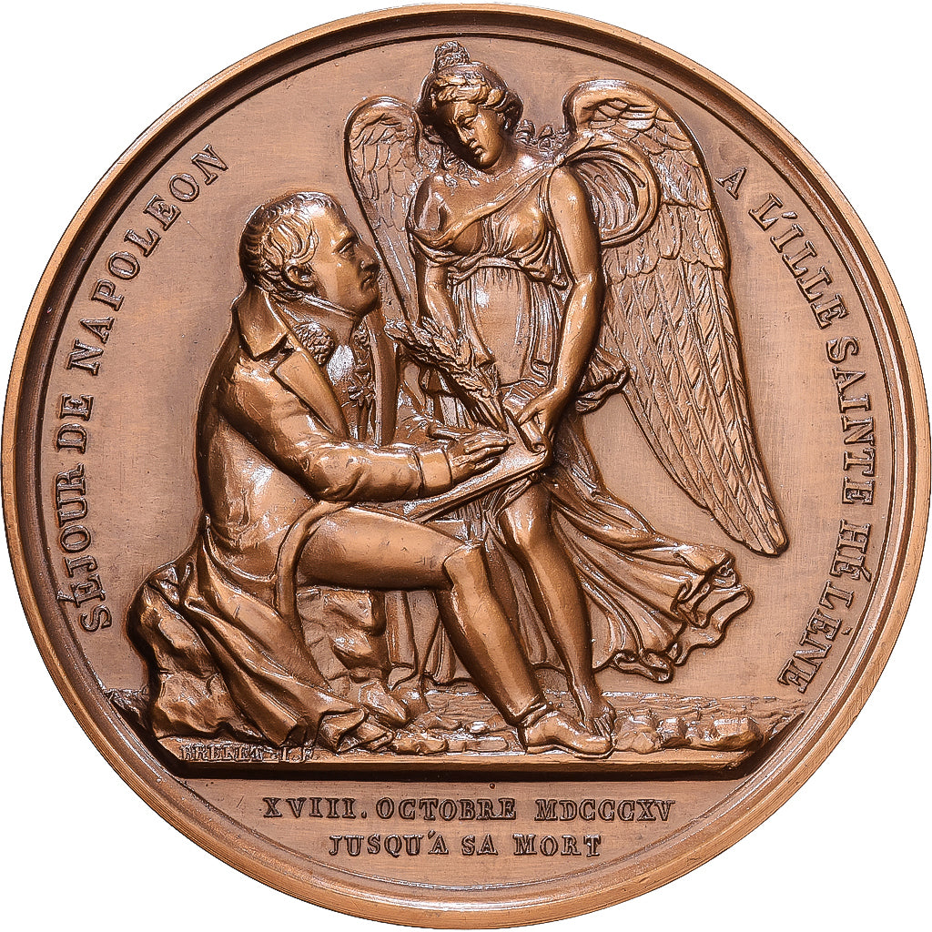 Francia, medaglia, Napoléon Ier, Séjour à l'Ille St Hélène, Bronzo, Denon
