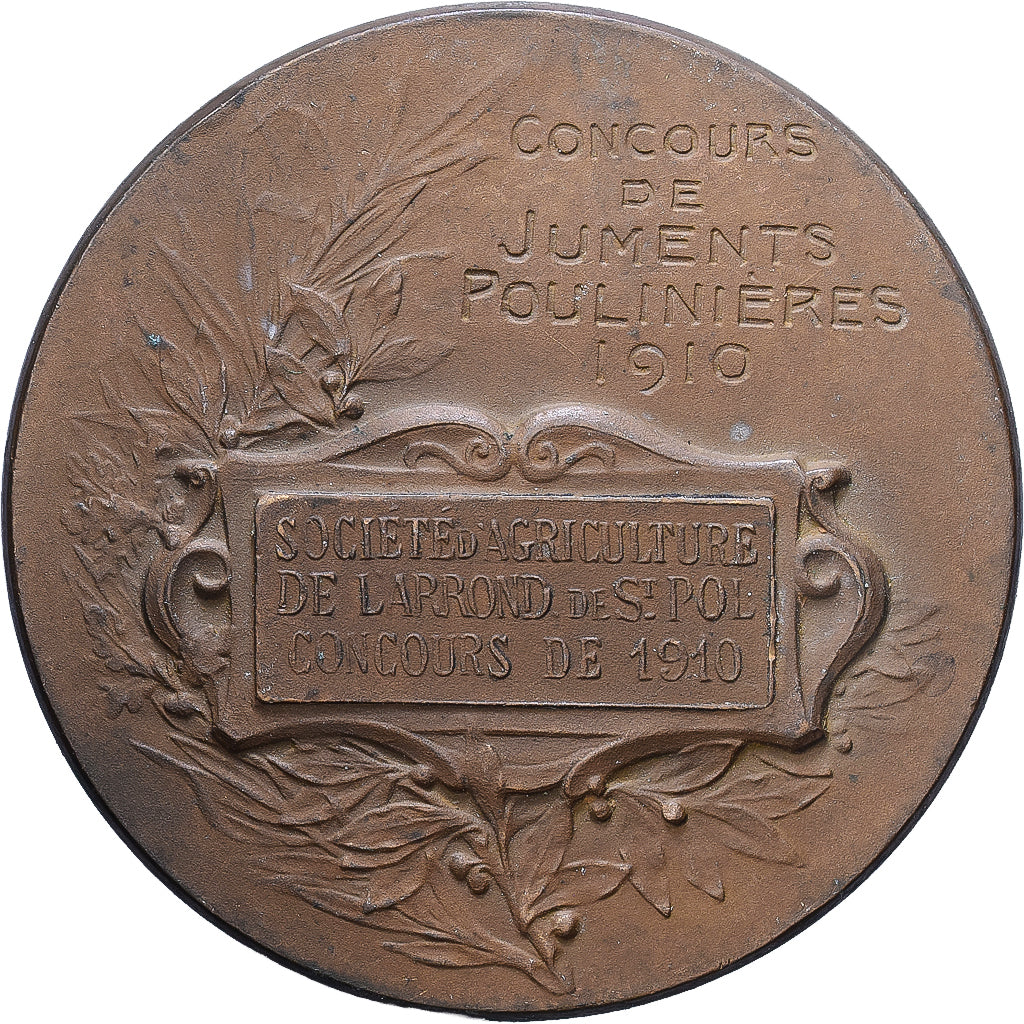 Francia, medaglia, Société d'Agriculture de Saint-Pol, 1910, Bronzo, Alphée
