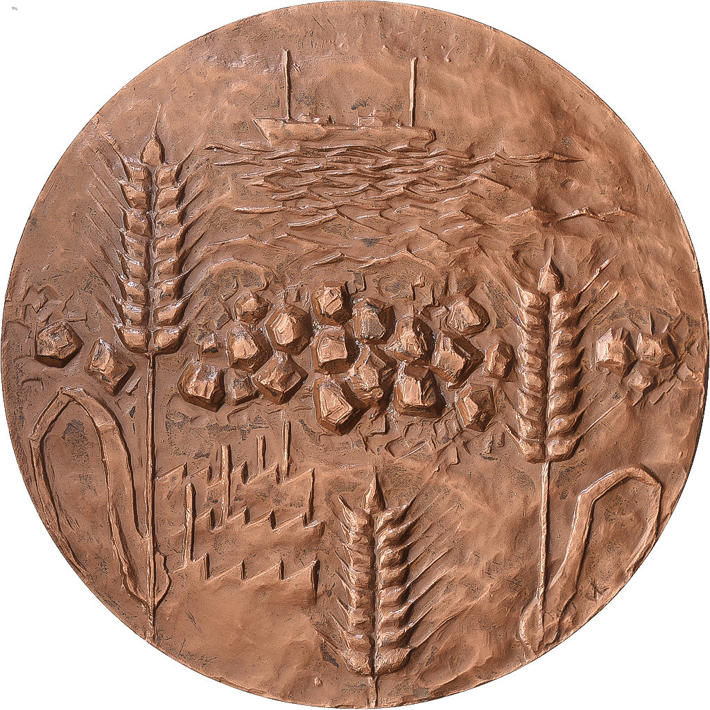 France, Medal, Conseil Général du Pas-de-Calais, 1976, Bronze, MS(63)