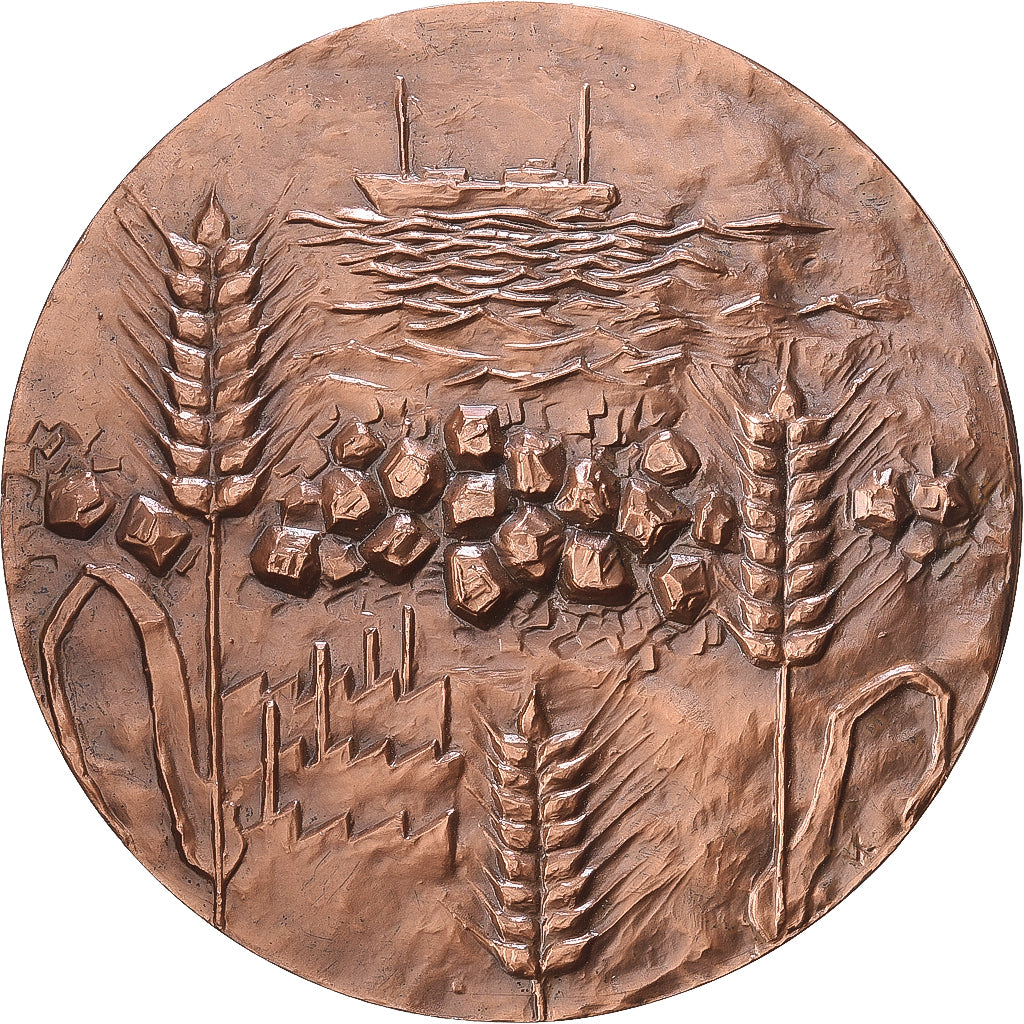 Francia, medaglia, Conseil Général du Pas-de-Calais, 1976, Bronzo, SPL