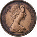 Gran Bretaña, Elizabeth II, 1/2 New Penny, 1976, Bronce, MBC, KM:914
